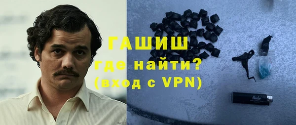 индика Билибино