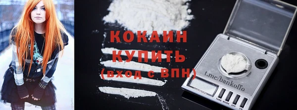 ешки Болотное