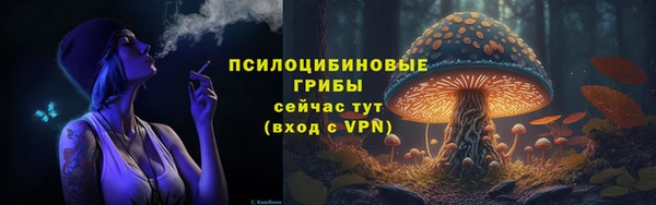 PSILOCYBIN Горняк