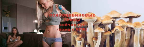 дурь Бикин