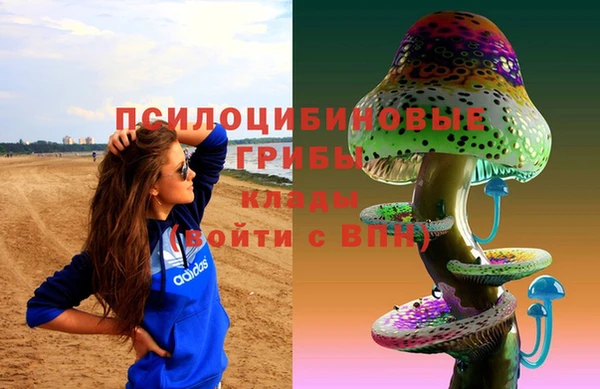 индика Билибино