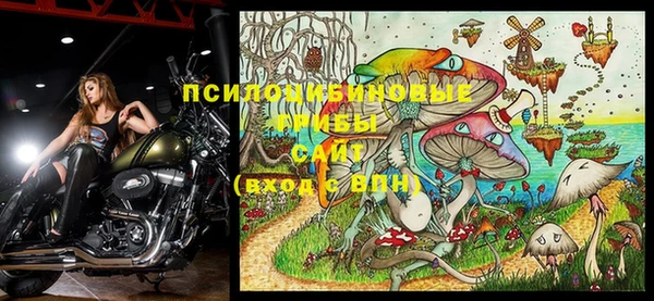 apvp Болохово