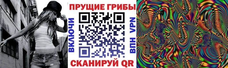 Галлюциногенные грибы Psilocybe  Грязи 