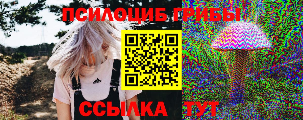 где купить наркоту  Псилоцибиновые грибы GOLDEN TEACHER  Вход с VPN  Грязи 